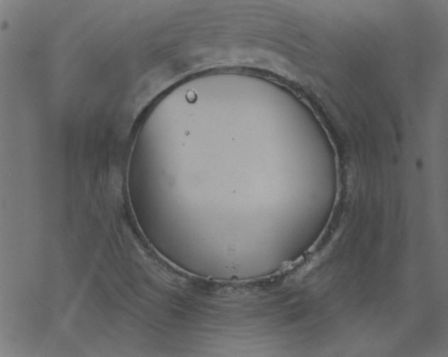 X0000077351505200611031808