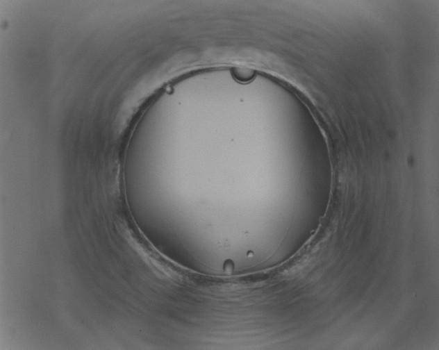 X0000077351507200611031808