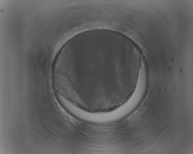 X0000077351508200611031808