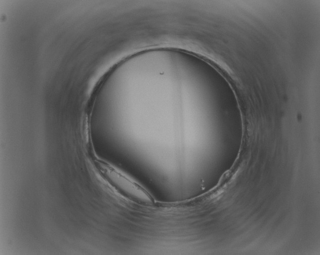 X0000077351510200611031808