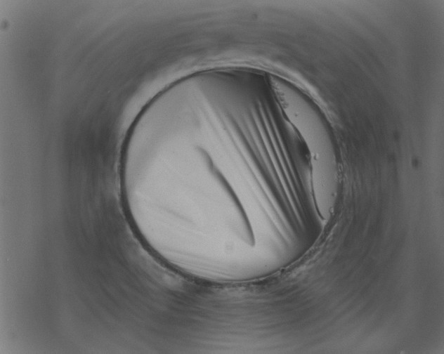 X0000077351512200611031808