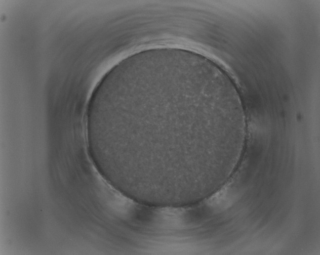 X0000077351514200611031808