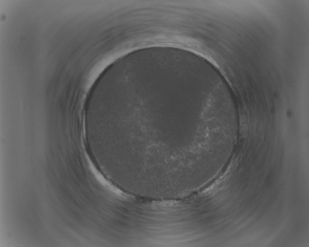 X0000077351515200611031808