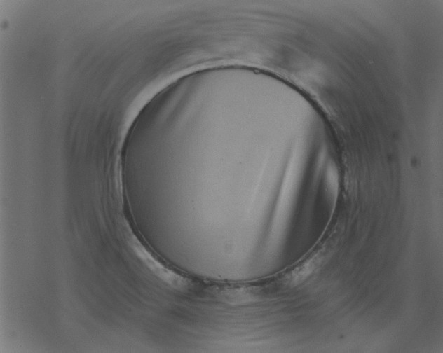 X0000077351516200611031808