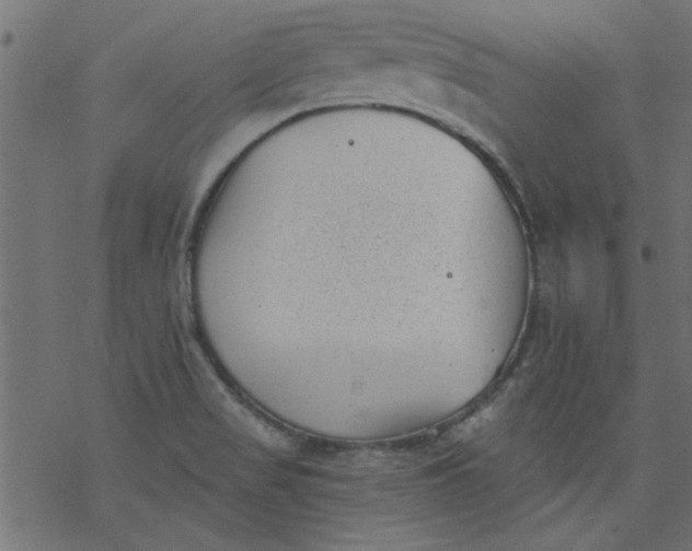 X0000077351517200611031808