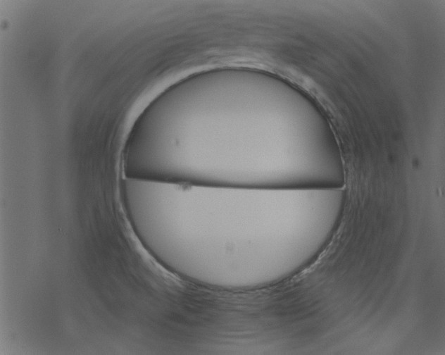 X0000077351520200611031808