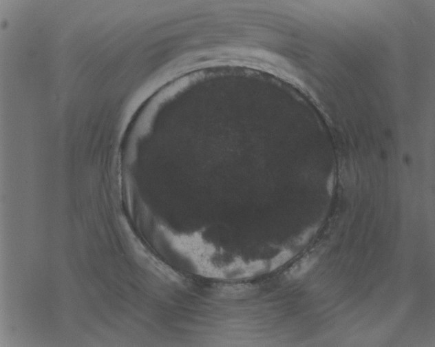 X0000077351522200611031808