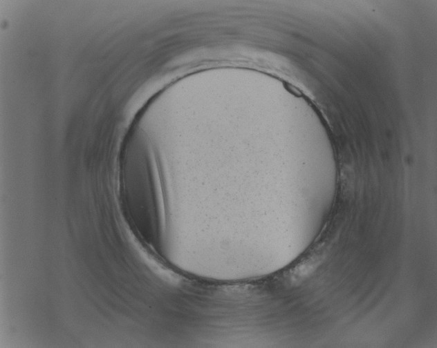 X0000077351523200611031808