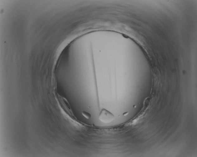 X0000077351527200611031808