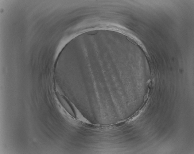 X0000077351530200611031808