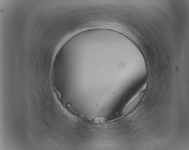 X0000077351536200611031808