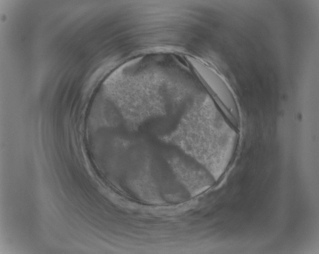 X0000077350001200611101626