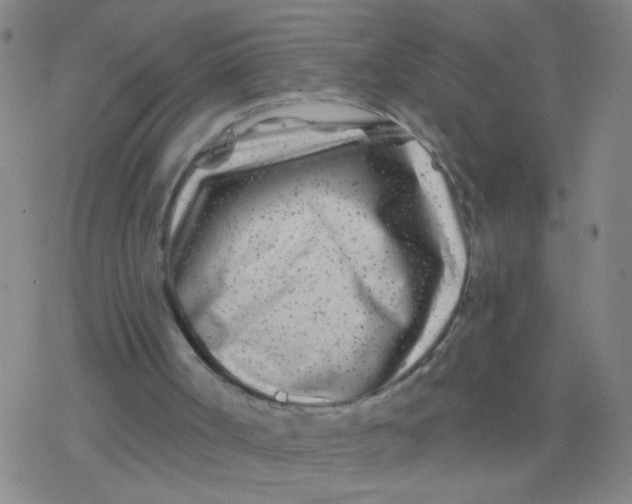 X0000077350002200611101626