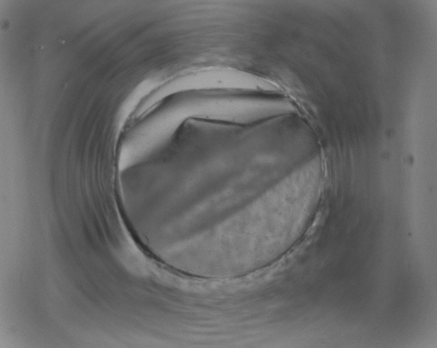 X0000077350003200611101626