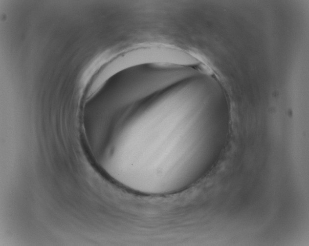 X0000077350007200611101625