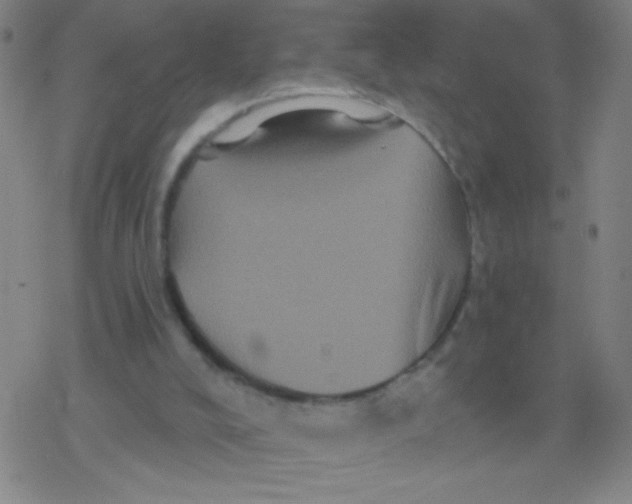 X0000077350008200611101625