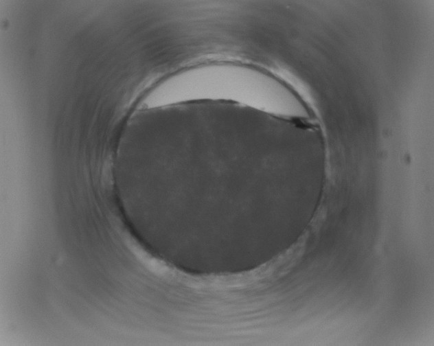 X0000077350009200611101625