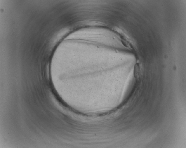 X0000077350014200611101625