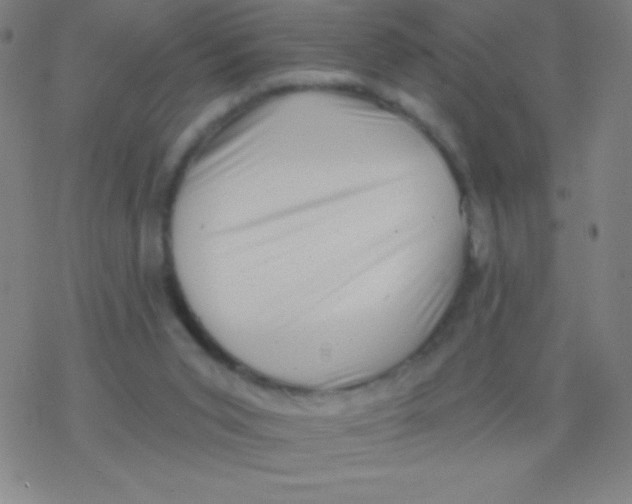 X0000077350015200611101625