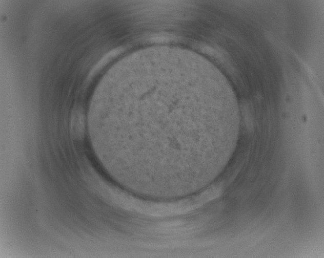 X0000077350016200611101625