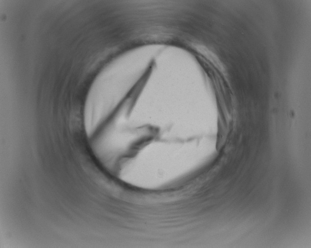 X0000077350017200611101625