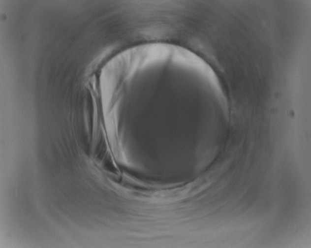 X0000077350019200611101625