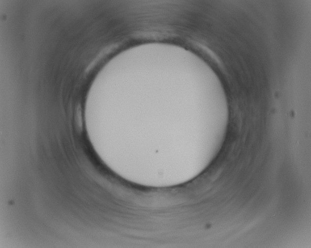 X0000077350020200611101625