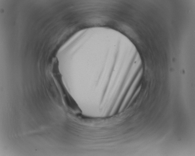 X0000077350021200611101625