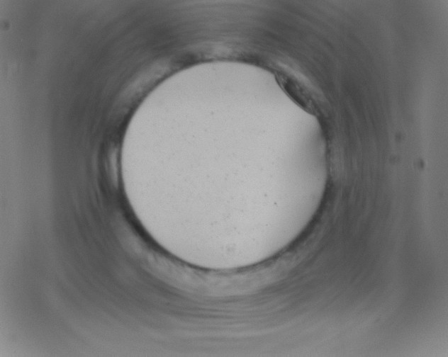 X0000077350022200611101625