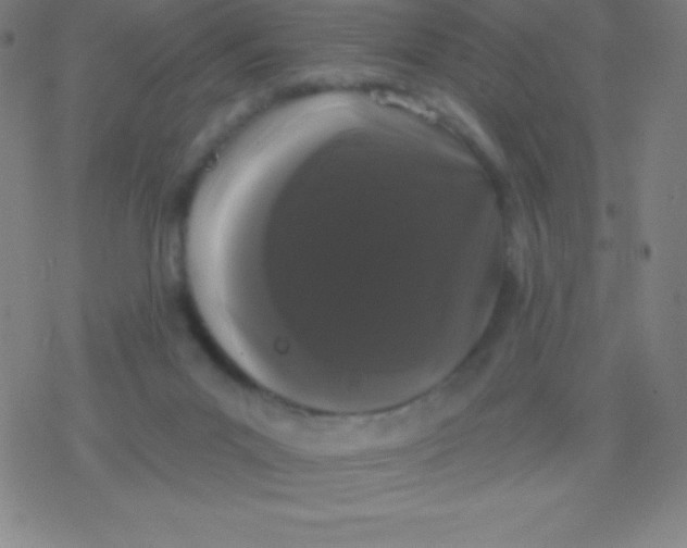 X0000077350023200611101625