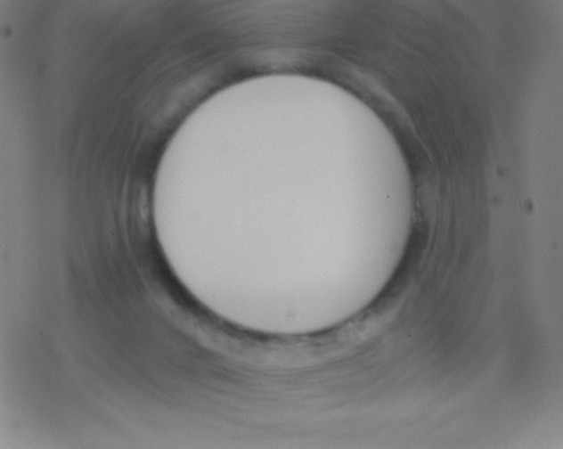 X0000077350024200611101625