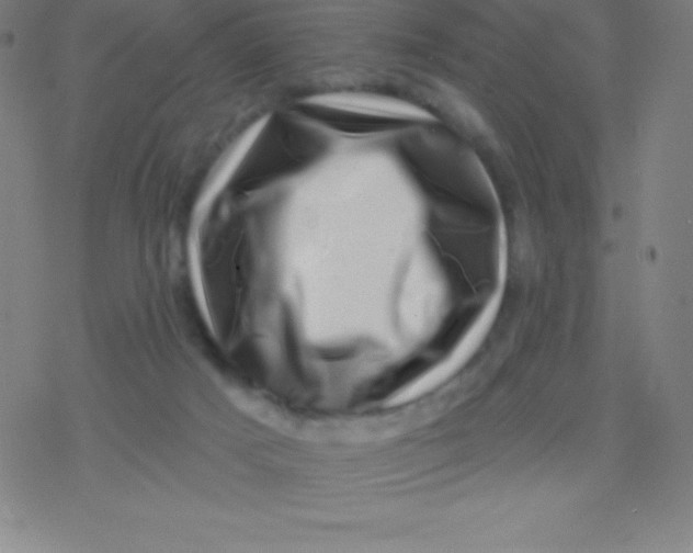 X0000077350025200611101625