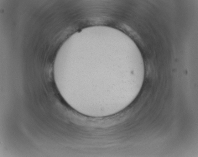 X0000077350026200611101625