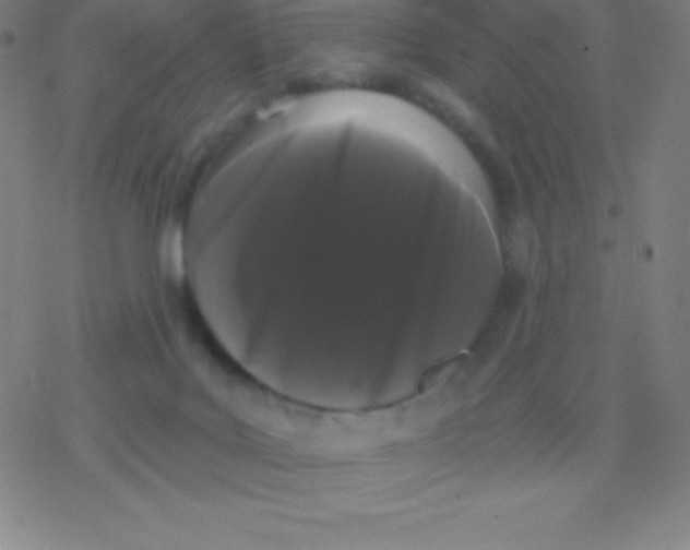 X0000077350027200611101625