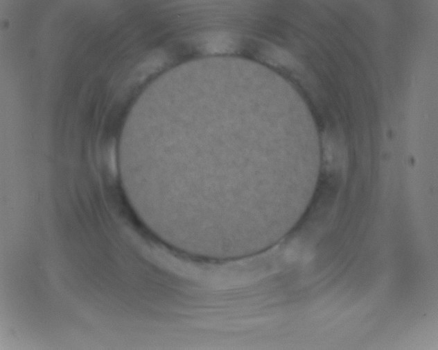 X0000077350028200611101625