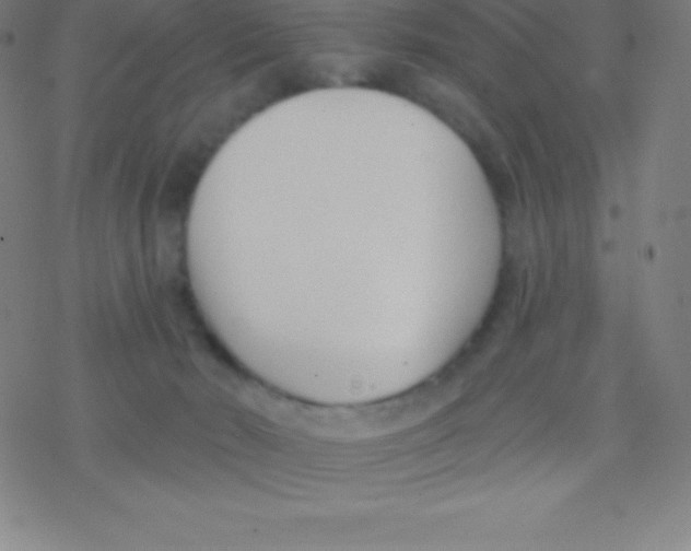 X0000077350030200611101625