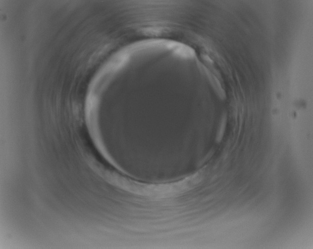 X0000077350031200611101625