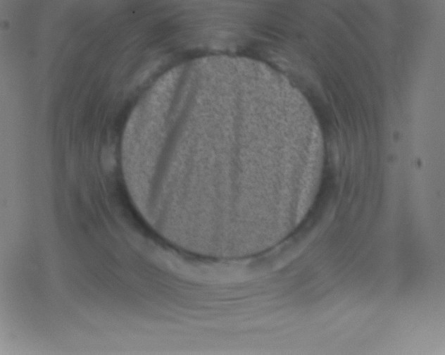 X0000077350032200611101625