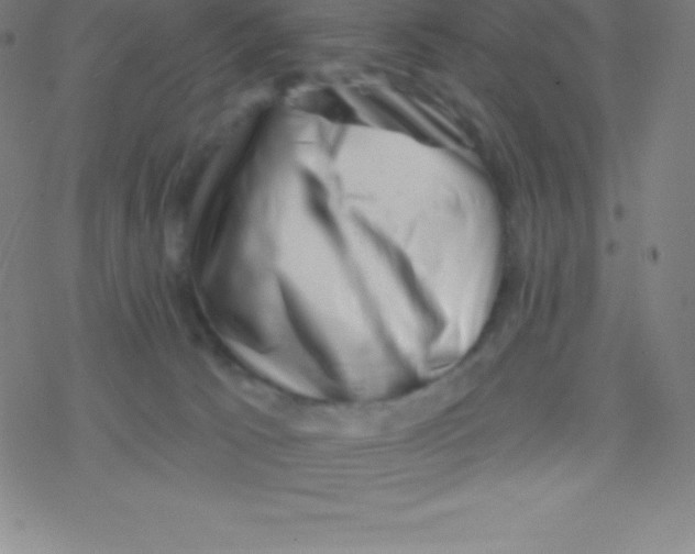 X0000077350033200611101625