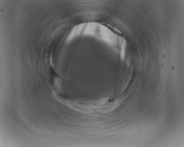 X0000077350035200611101625