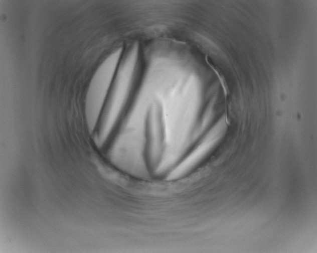 X0000077350037200611101625