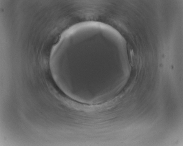 X0000077350039200611101625