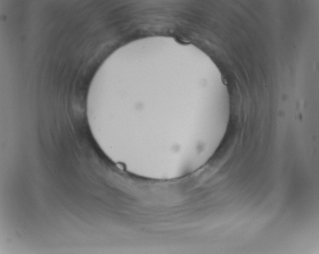 X0000077350040200611101625