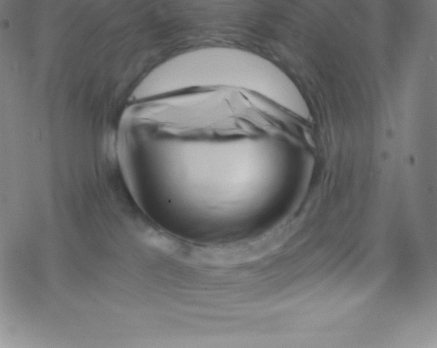 X0000077350041200611101625