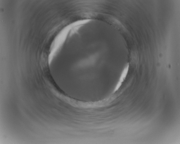 X0000077350043200611101625