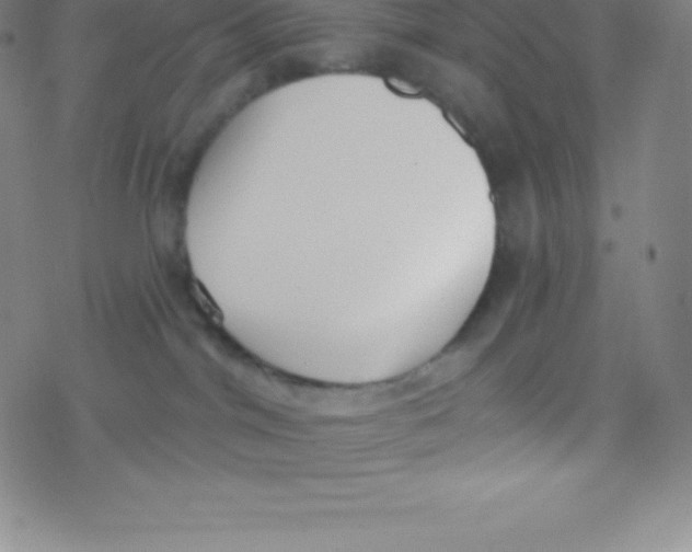 X0000077350044200611101625