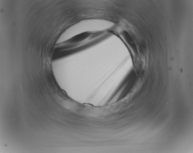 X0000077350045200611101625