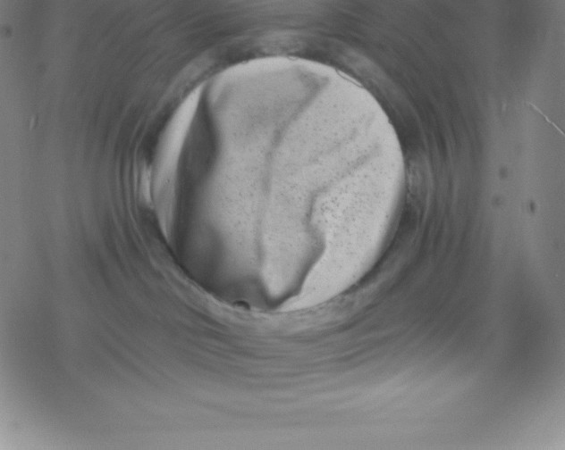 X0000077350046200611101625