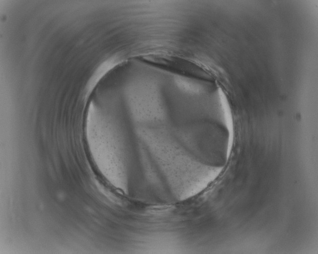 X0000077350051200611101624