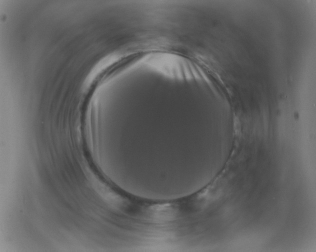 X0000077350054200611101624